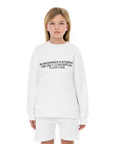 Concept  Crewneck Sweatshirt | Blowhammer